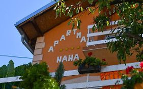 Nana Tekija